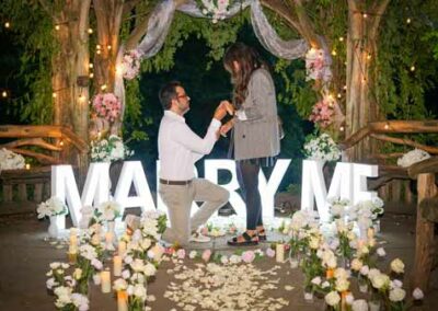 nyc wedding proposal planner