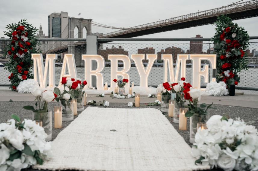 brooklyn bridge view proposal